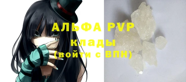 PSILOCYBIN Туринск
