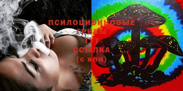 PSILOCYBIN Туринск