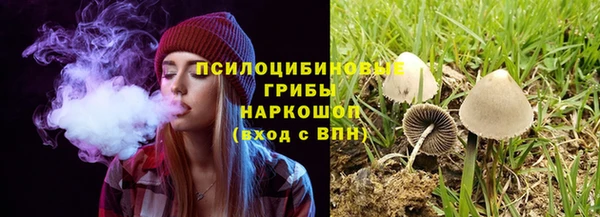 PSILOCYBIN Туринск