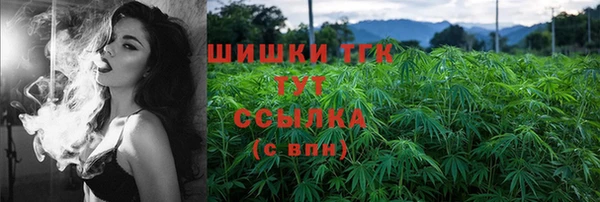 PSILOCYBIN Туринск