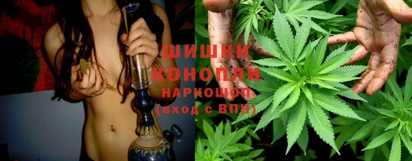 стафф Тутаев