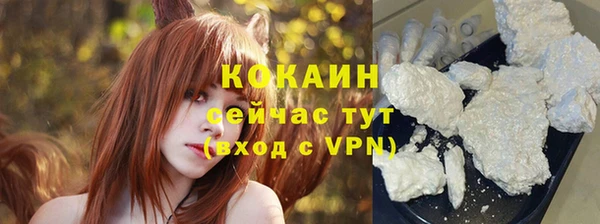 стафф Тутаев