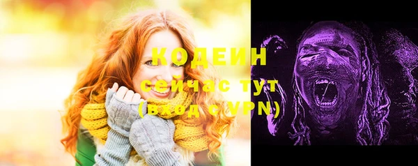 стафф Тутаев